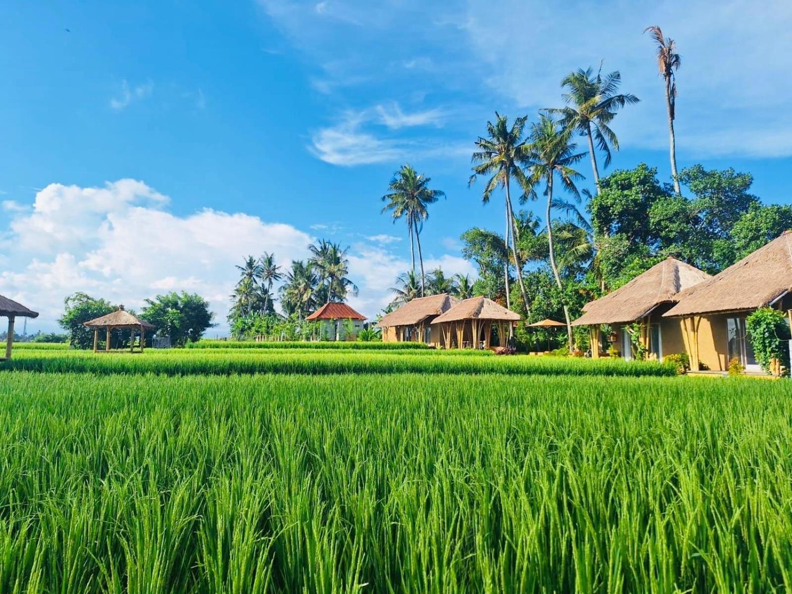 Rumah Kita Ecolodge Убуд Екстериор снимка