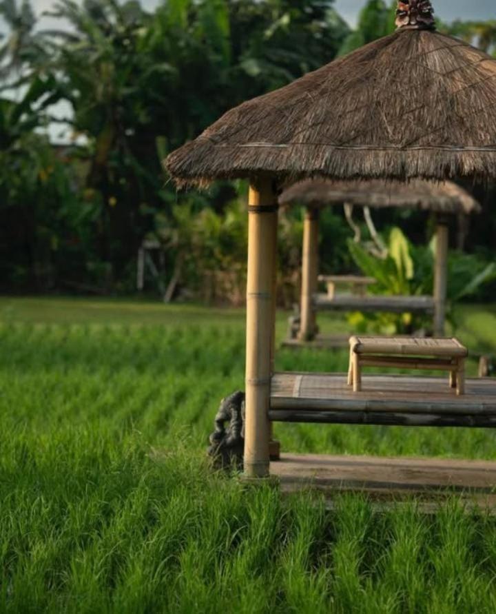 Rumah Kita Ecolodge Убуд Екстериор снимка